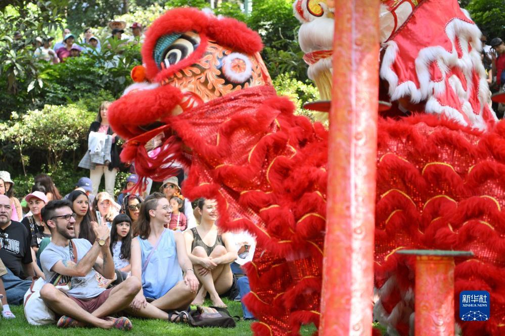 奔驰宝马娱乐游戏